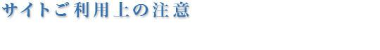 サイトご利用上の注意